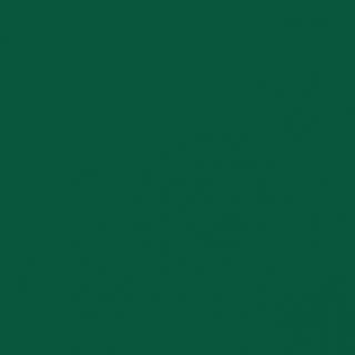 Akrylové barvy Campus - 100ml odstín: 41. Sap Green 819