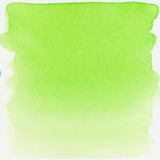 Ecoline akvarelový inkoust 30ml odstín: 43. Light Green