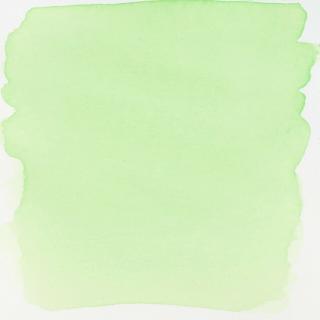 Ecoline akvarelový inkoust 30ml odstín: 51. Pastel Green
