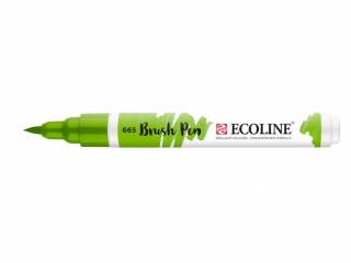 ECOLINE Brush Pen - jednotlivě Barva: 34. Spring Green 665