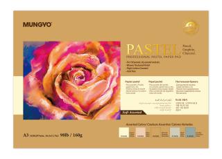 Skicák Mungyo - tónovaný, světlé odstíny160 gramů, pastel... rozměr: A3  20 listů