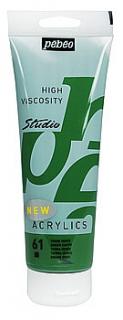 Studio Acrylic 100 ml   (62 odstínů) odstín: 61 Green earth