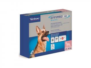 Effipro Duo L 268/80 mg spot-on 4 x 2.68 ml