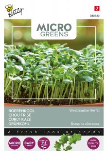 Kapusta kadeřavá ´Westland Autumn´ - semena na klíčky Microgreens  Semena Buzzy ®