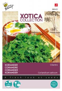 Koriandr setý  - Buzzy Xotica kolekce - 10 gramů  Semena Buzzy ®