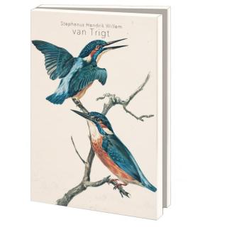 Přání s obálkami ´Ptáci Evropy´ - 10 karet s obálkami  Set blahopřání s ilustracemi ptáků