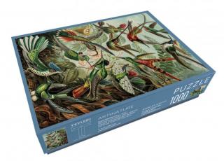 Puzzle 1000 dílků - Umělecké formy přírody  Puzzle - Ernst Haeckel