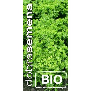 BIO ENDIVIE GEANTE MARAICHERE 1 G