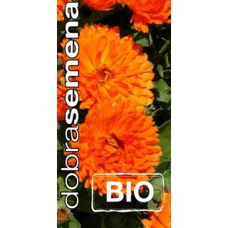 BIO MĚSÍČEK LEKAŘSKÝ ORANGE DOUBLE 1 G