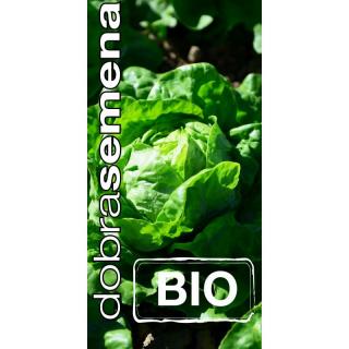 BIO SALÁT HLÁVKOVÝ KRÁL MÁJE 0,5 G