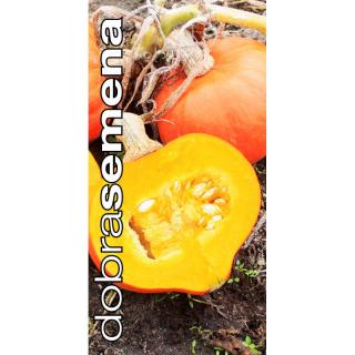 BIO TYKEV VELKOPLODÁ AMORO F1 10 S