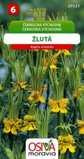 ČERNUCHA VÝCHODNÍ - žlutá 0,8 g