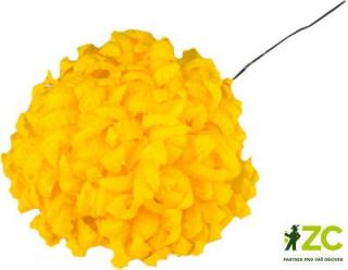 Chryzantéma vosková Barva: žlutá