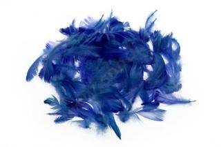 Dekorace - pírka 10 g Barva: modrá