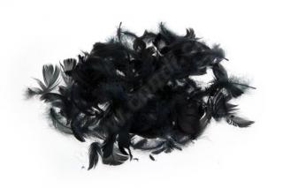 Dekorace - pírka, různé barvy 10 g Barva: černá