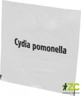 FEROMONOVÝ LAPAČ - obaleč jablečný náplň