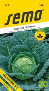 KAPUSTA BLISTRA F1 - HLÁVKOVÁ pozdní - 35 s