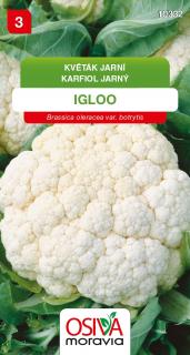 KVĚTÁK IGLOO - jarní raný 0,4 g