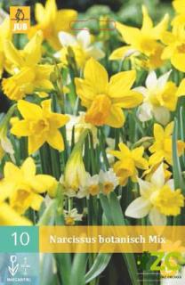 Narcis - Botanical Mix (10 cibulí)