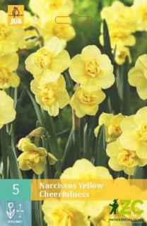 Narcis - Yellow Cheerfulness (5 cibulí)