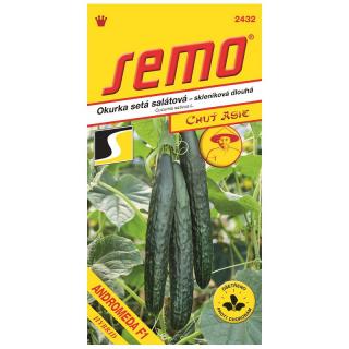 OKURKA ANDROMEDA F1 - skleníková 10 s