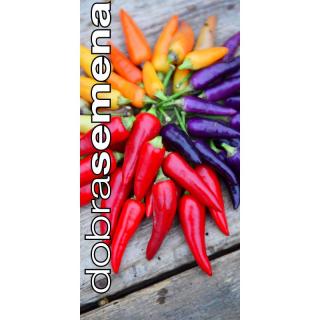 PAPRIKA BOLIVIAN RAINBOW  -  roční, chilli 10 s