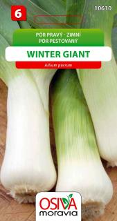 PÓR PRAVÝ - WINTER GIANT zimní 1,5g