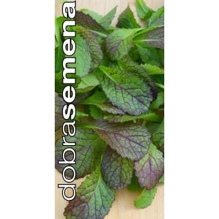 RED GIANT MUSTARD - Listová hořčice 2 g