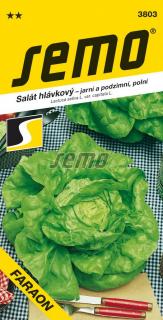 SALÁT FARAON - Hlávkový 0,6 g