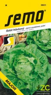 SALÁT MAJOR - Hlávkový 0,3 g