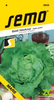 SALÁT MARS - Profi, letní, polní 0,3 g