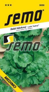 SALÁT MEDIMO - polní ledový 0.6 g, EXP. 12/2024