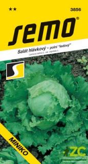 SALÁT MINIKO - polní ledový 0.4 g