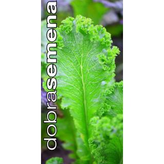 SOUTHERN GIANT MUSTARD - Listová hořčice 2 g