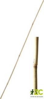 Tyč bambusová 18-20 mm Délka: 180 cm