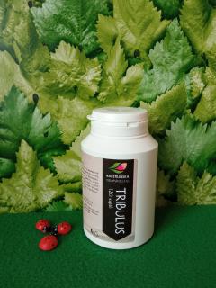 Tribulus terrestris (kotvičník)  kapsle 41% 500 mg 120 tob.