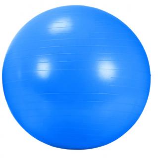 Rehabilitační míč, průměr 55 cm / 65 cm / 75 cm Průměr: 65 cm - modrý