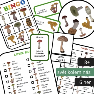 Houbový balíček PDF pro školy - ke stažení pro kolektiv