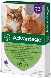 Advantage 80mg pro velké kočky a králíky, 4x 0,8ml nad 4 kg