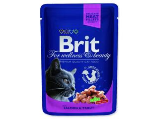 BRIT Premium cat Kapsička salmon & trout 100 g