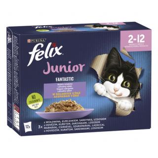 FELIX Fantastic Junior 12x85 g