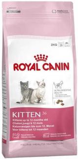 Royal Canin Kitten 36 10 kg