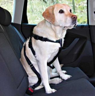 Trixie Postroj pes Bezpečnostní do auta L 70-90cm