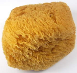 MAGNUM Mořská houba Natural 14 - 16 cm - 1 ks (na mytí celého těla.)