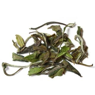 Bílý čaj - Pai Mu Tan váha: 1000g