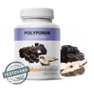 Polyporus v optimální koncentraci | MycoMedica