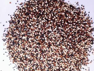 Quinoa trikolora váha: 1000g