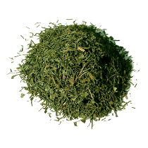 Variant Kopr špičky