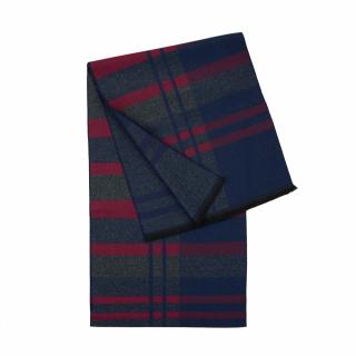 Pánská šála Art of Polo SZ23418 modrá