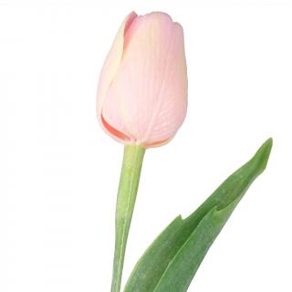 Baby pink tulipán - 43 cm